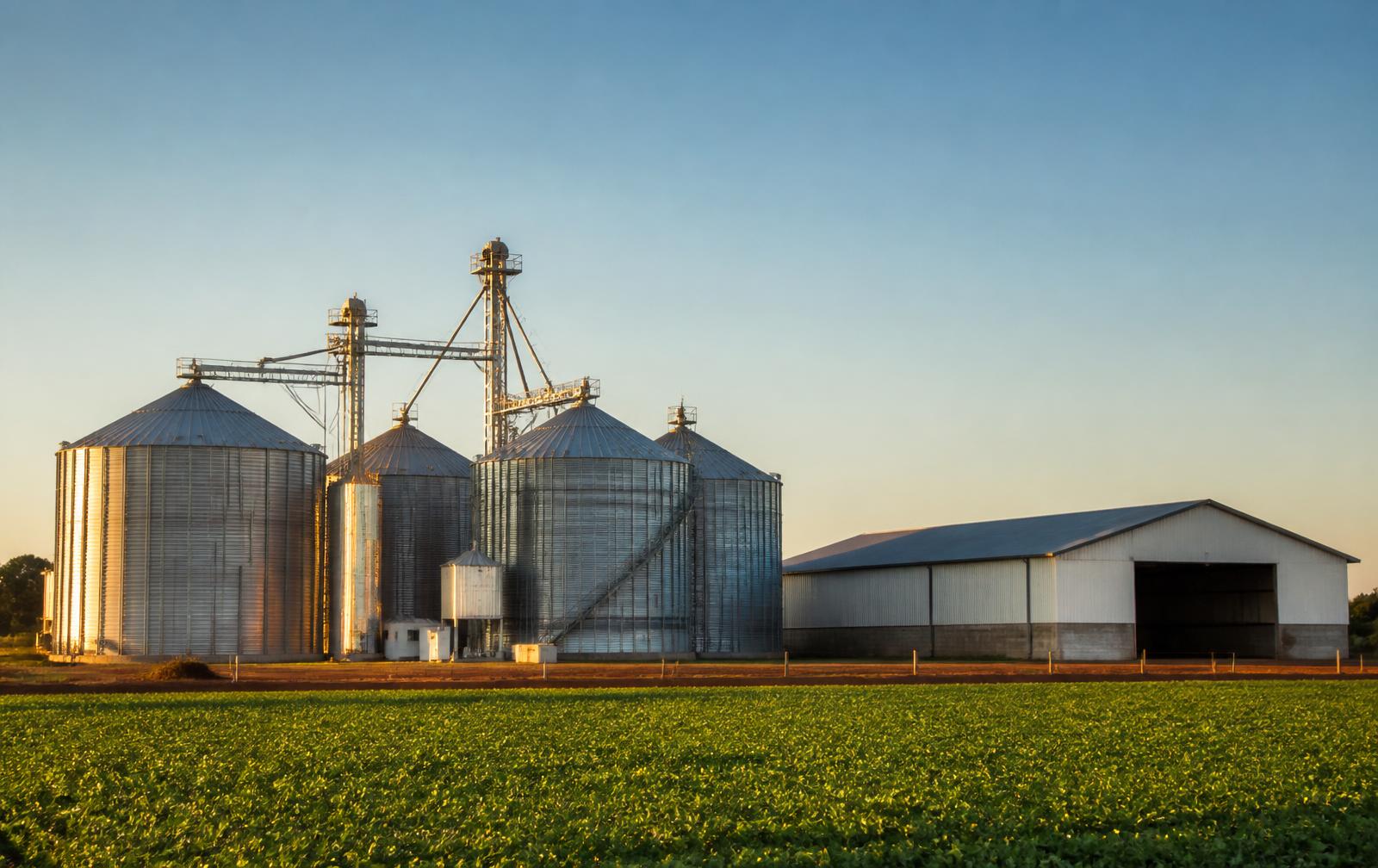 Silos de armazenagem e galpão rural ao lado de lavoura, representando investimentos financiáveis